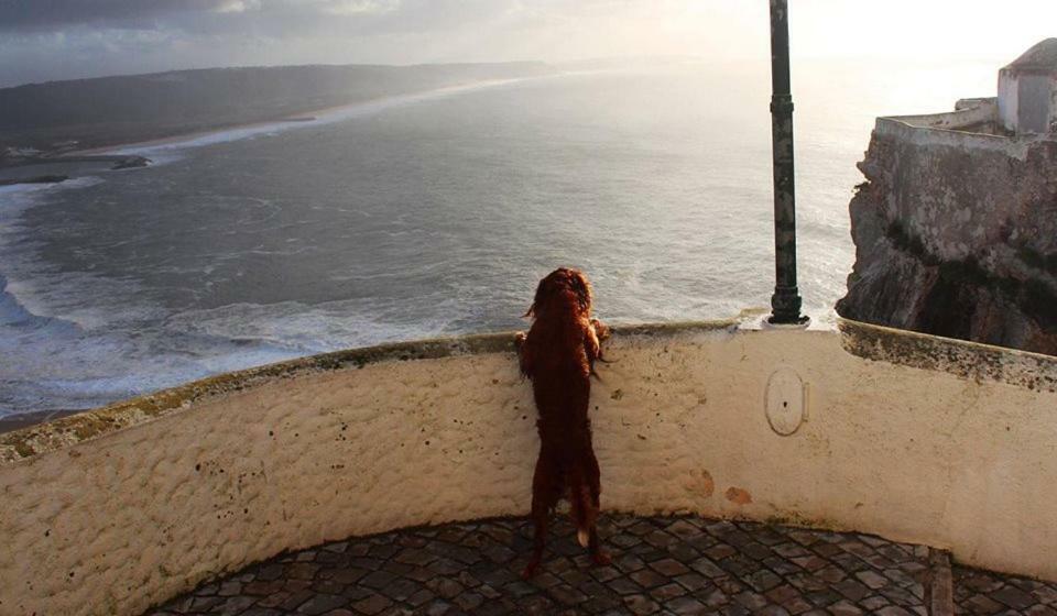 Nazare - The Little Star Βίλα Εξωτερικό φωτογραφία